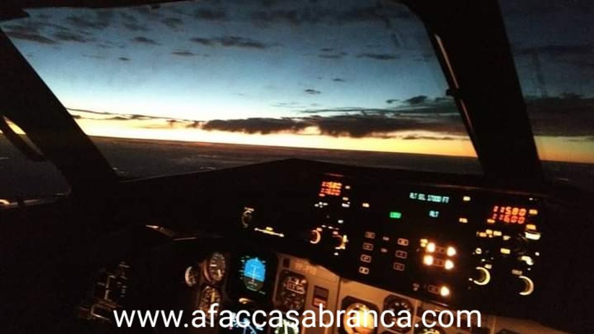 Social Cockpit 