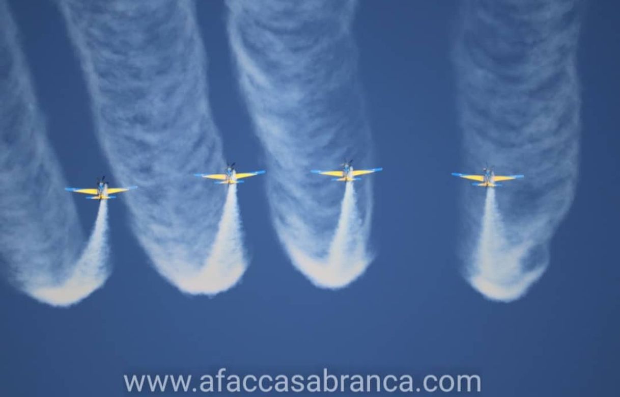 Esquadrilha da Fumaça 