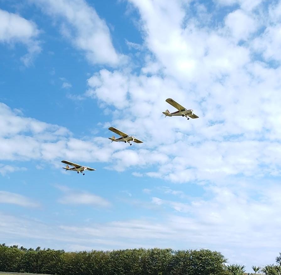 Social Esquadrilha Canarinho do @aeroclubedeitapolis 
www.afaccasabranca com

#afacaviação 
