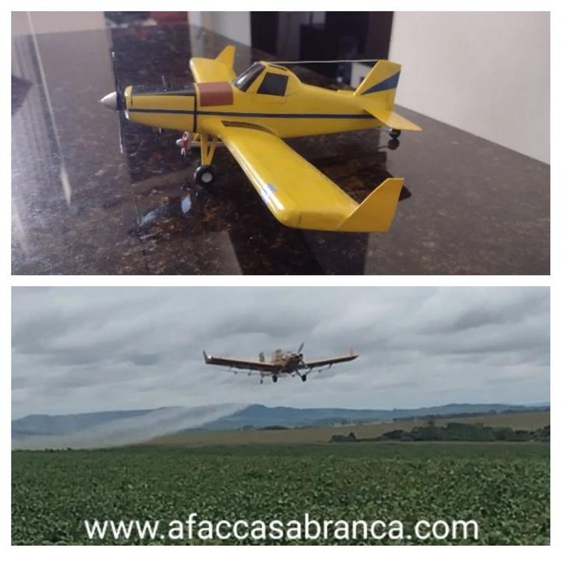 Aviação Agrícola 