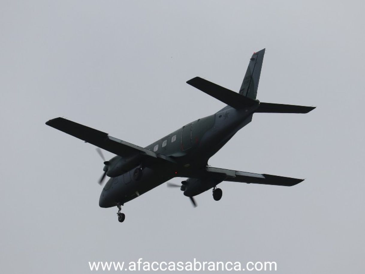 Bandeirante 