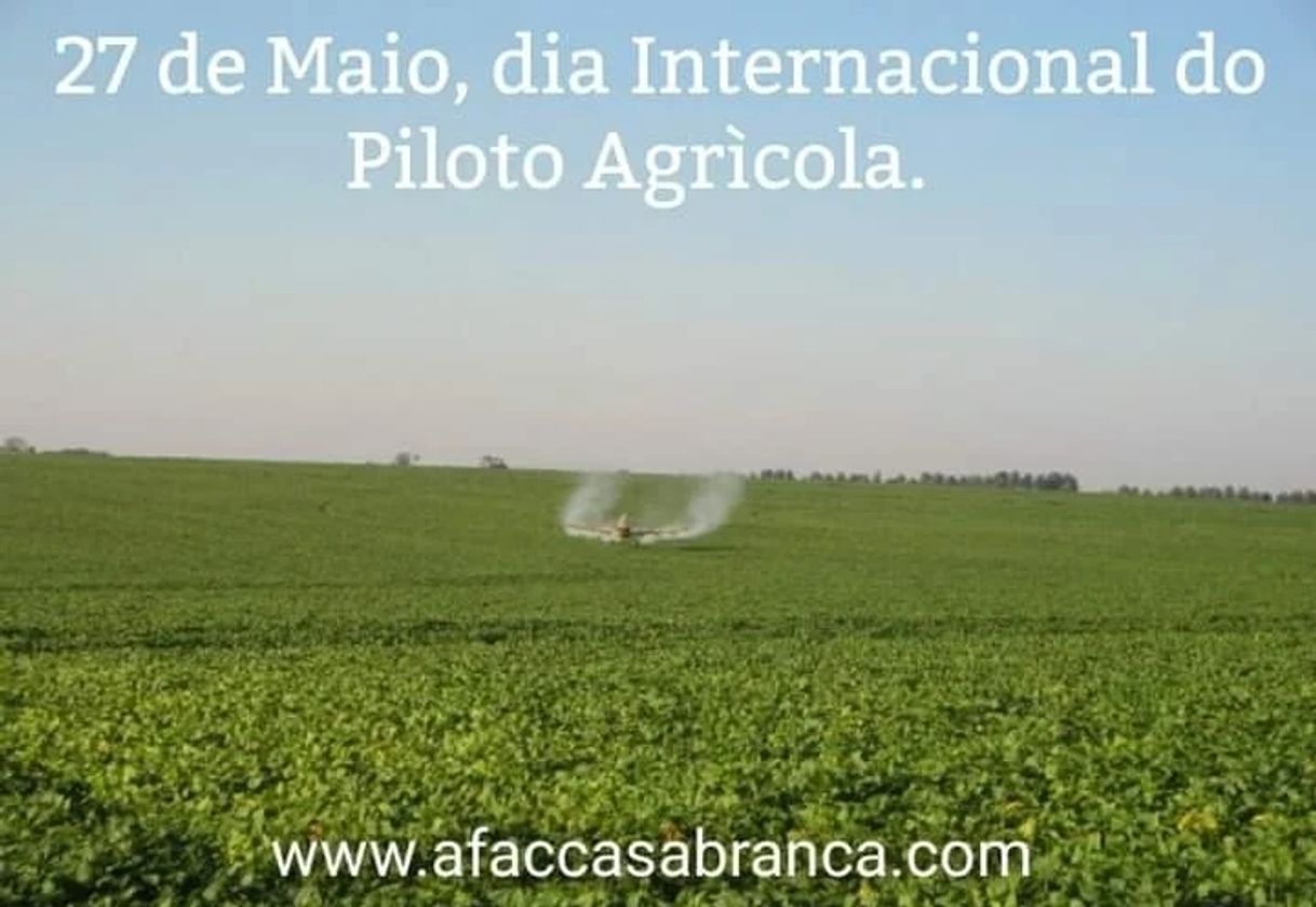 Social Dia mundial da aviação agro q