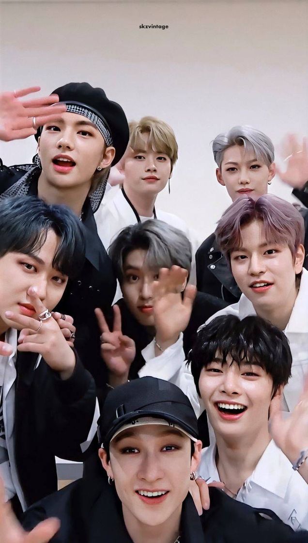 Moda Wallpaper stray kids