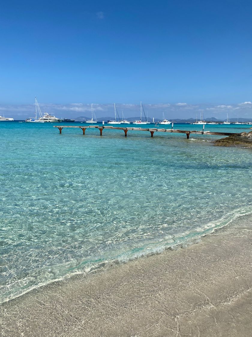 Lugar Playa de Ses Illetes