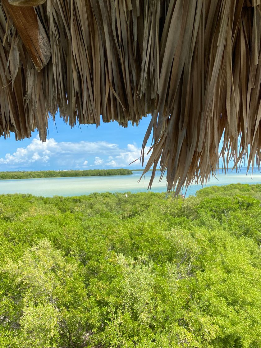 Lugar Isla de la Pasión