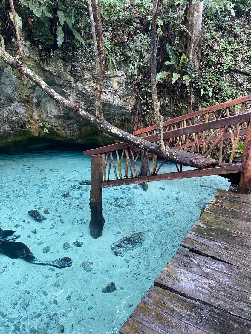 Lugar Grand Cenote