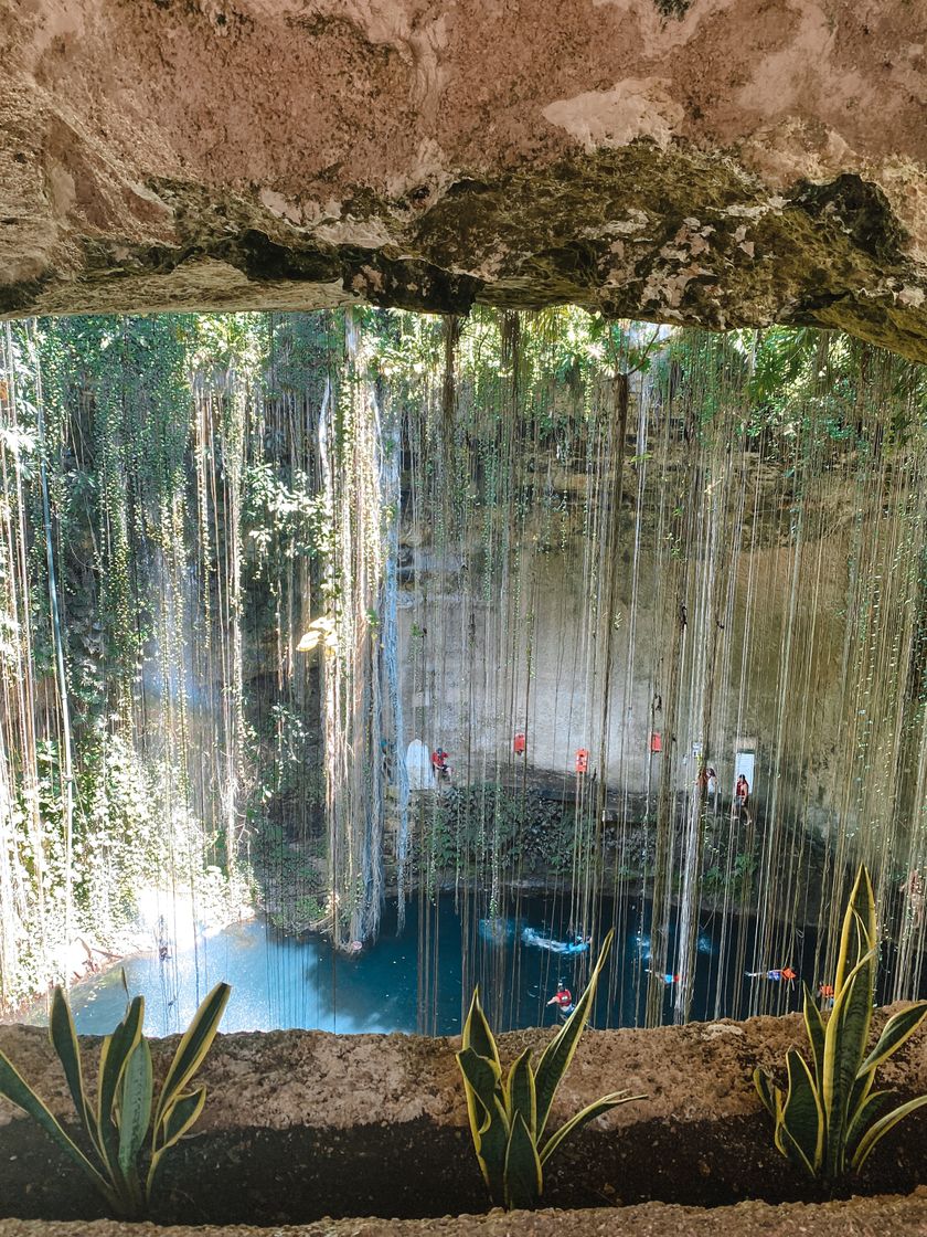 Place Cenote Ik-Kil