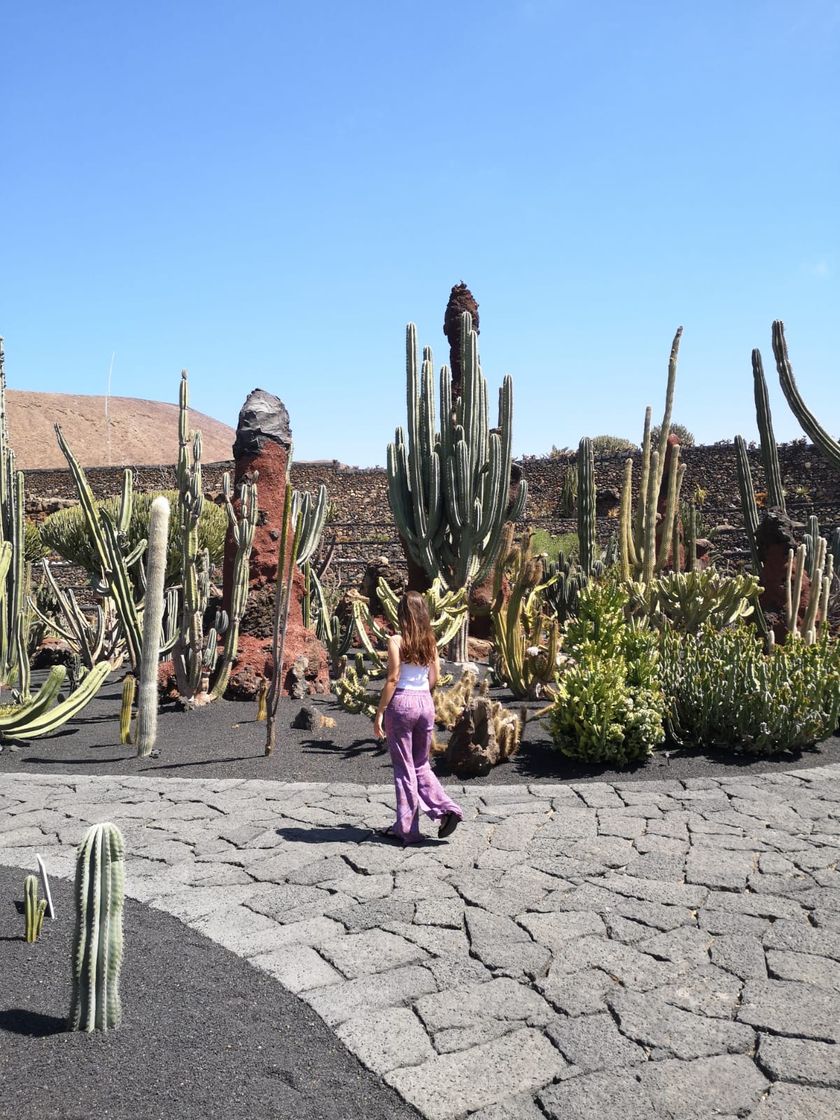 Place Jardin De Cactus