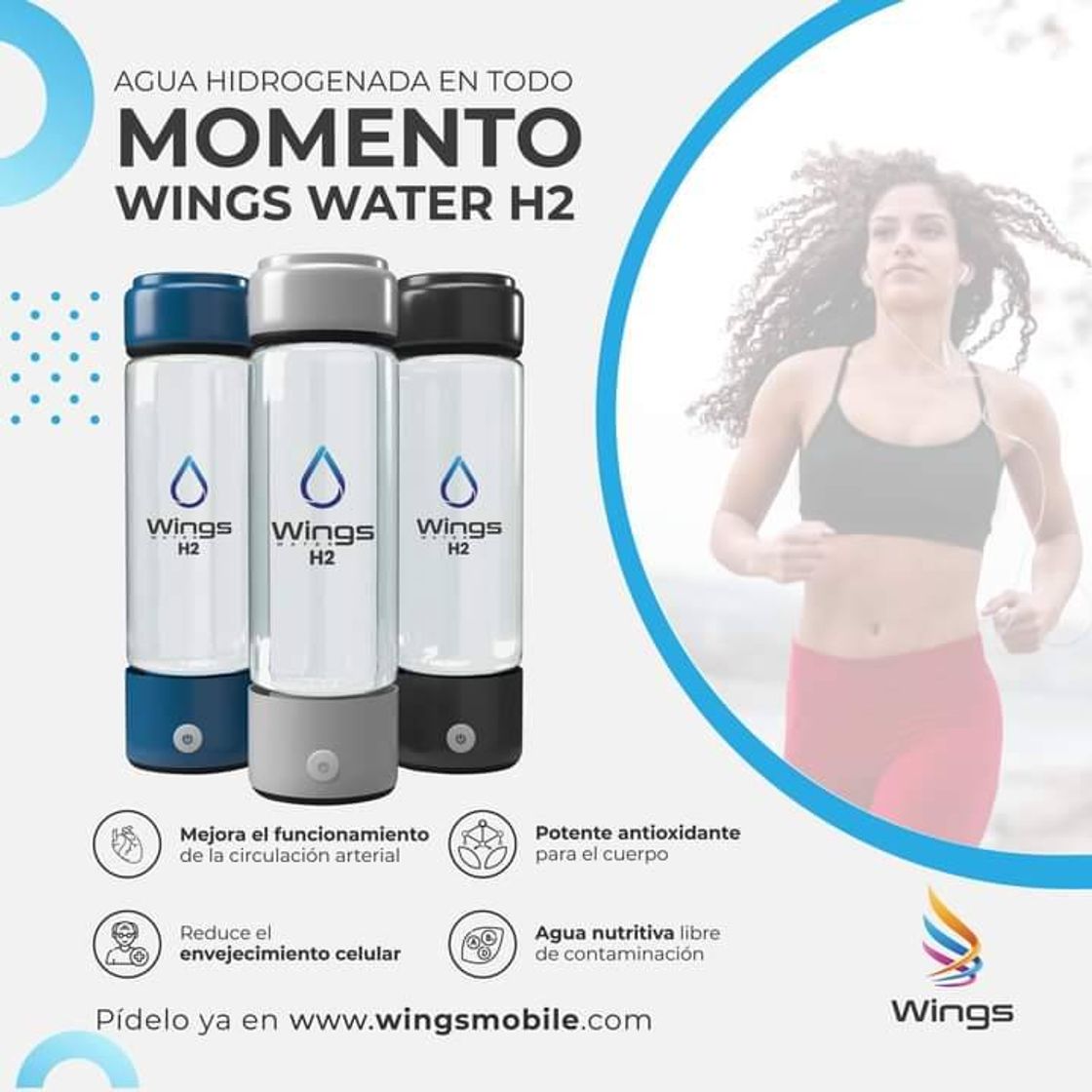 Wings witer h2