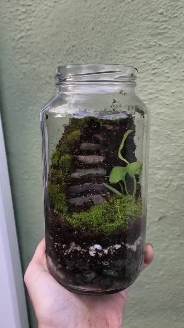 Magiin Jarrón de Vidrio Transparente Terrario de Plantas Colgantes con Soporte de