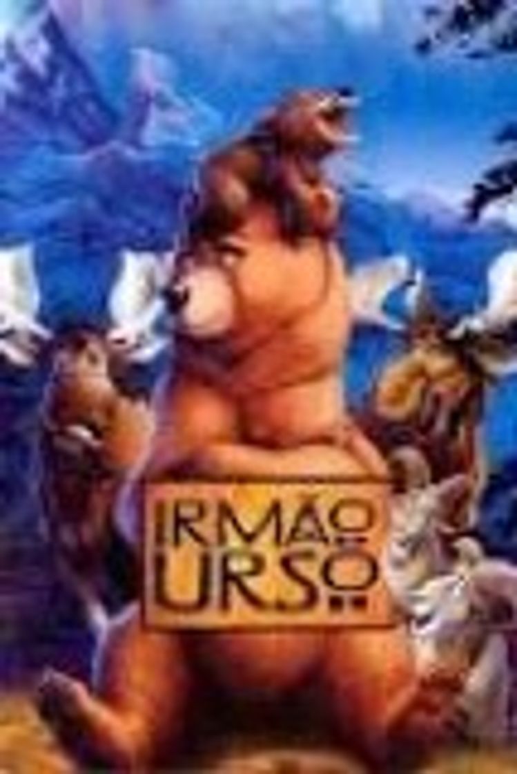 Película Irmão Urso