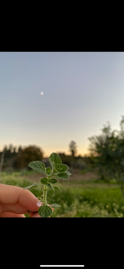 Moda Meu Jardim 🌅