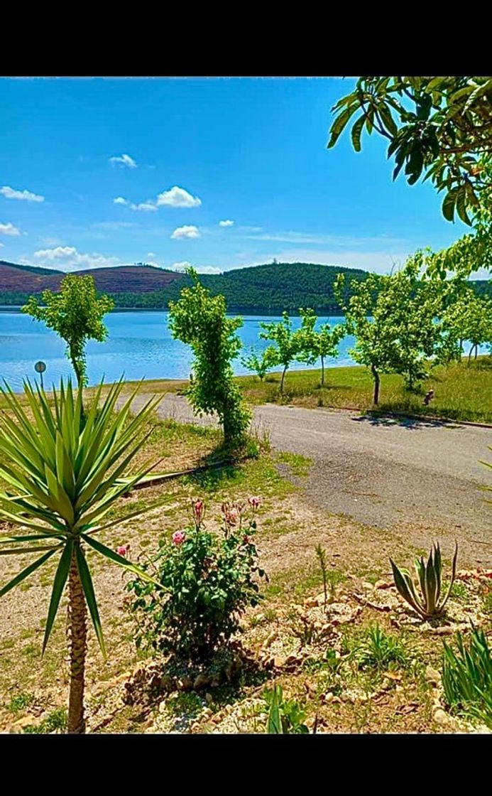 Place Estrada Senhora da Ribeira