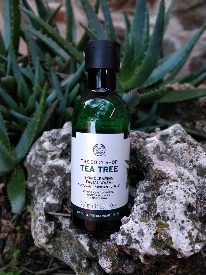 Belleza Tónico Matificante Purificante De Árbol De Té