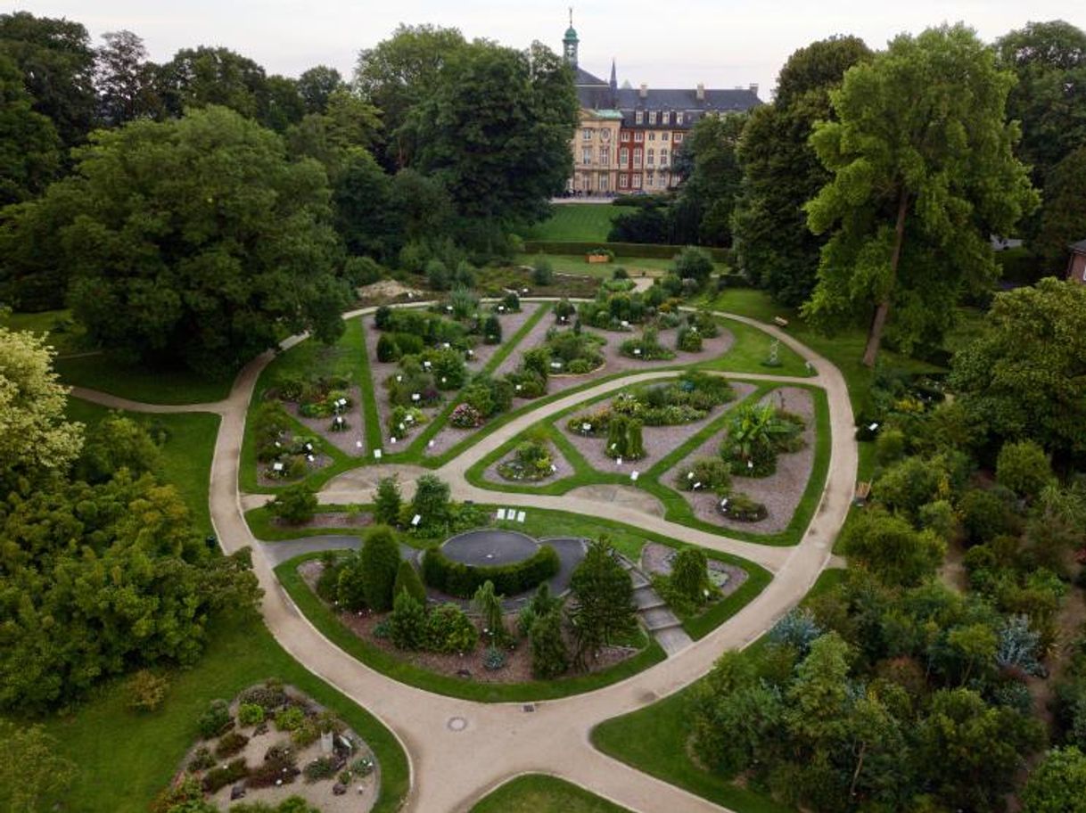 Lugar Botanical Garden of the Westphalian Wilhelm University of Münster