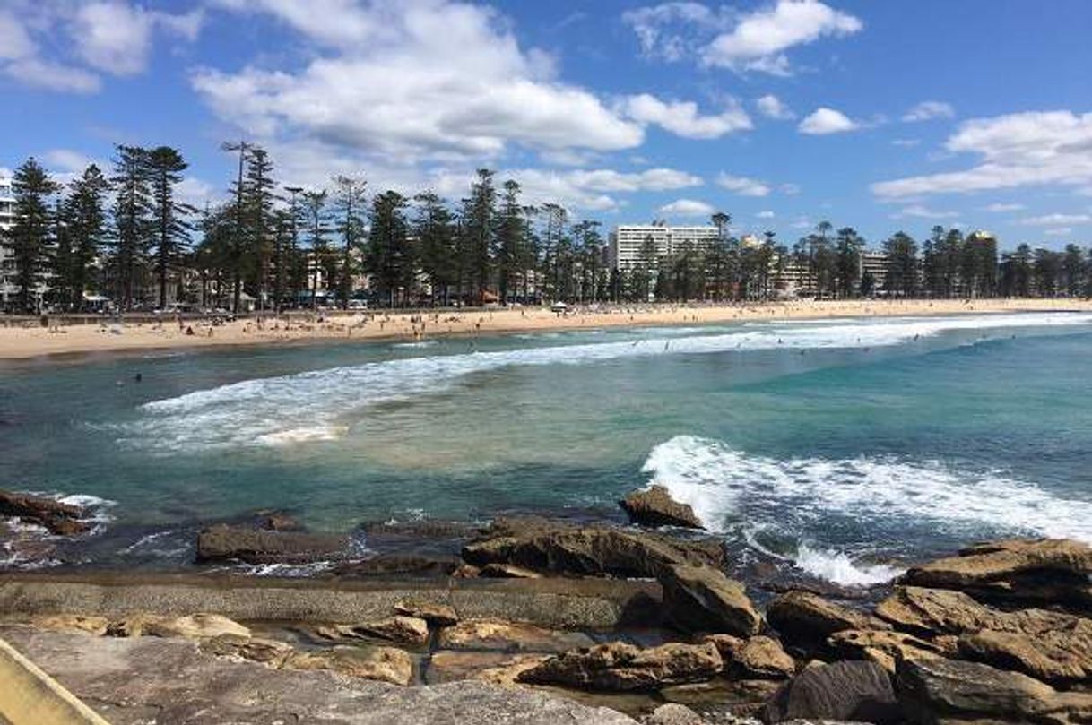 Lugar Manly Beach