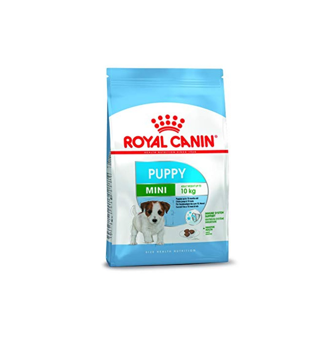 Social Royal Canin C-08334 S.N