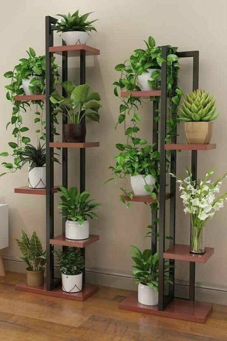 Fashion Decoração com plantas