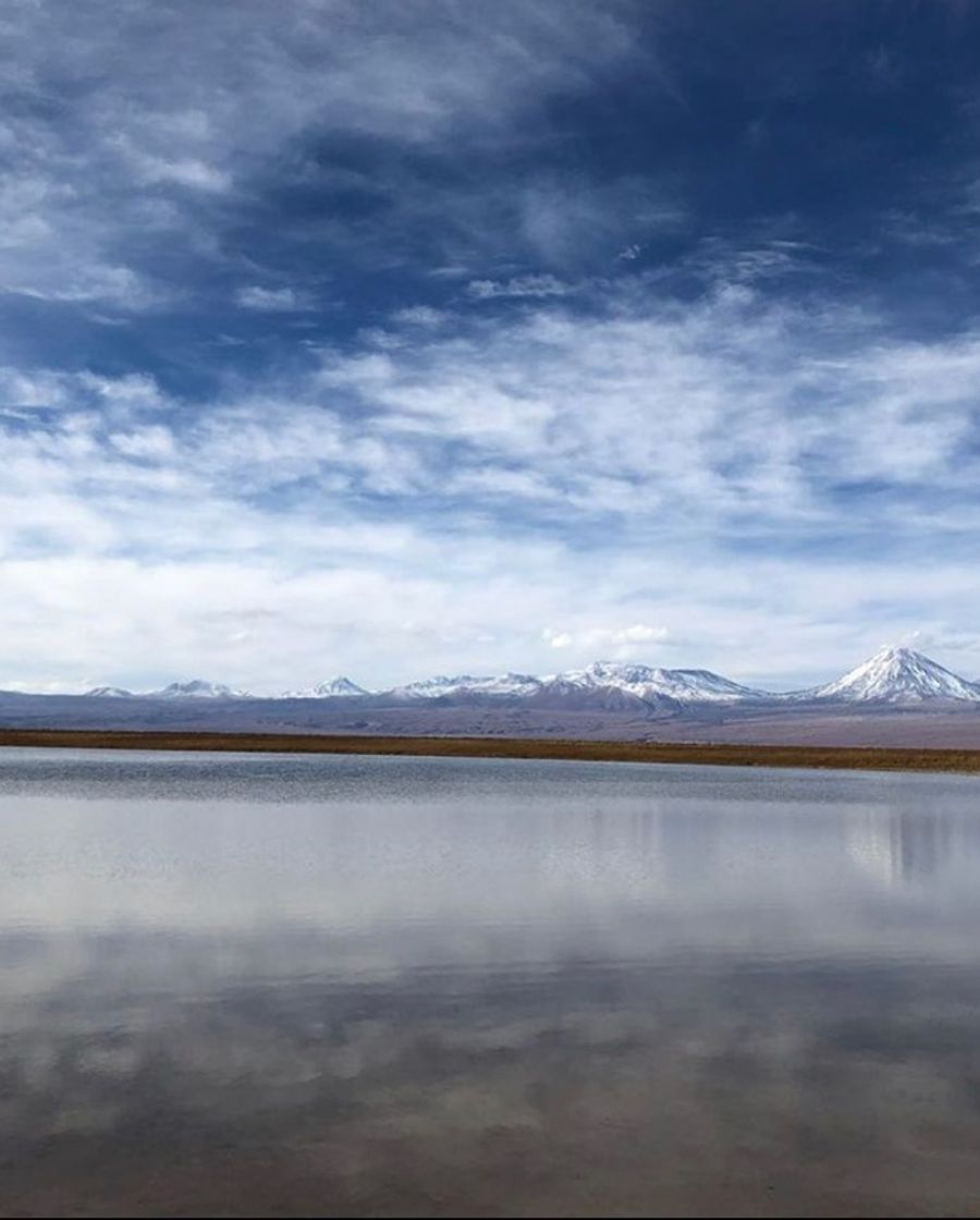 Place Laguna Cejar