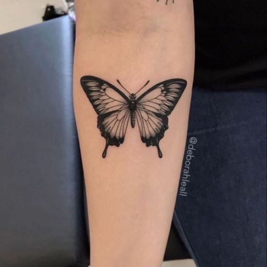 Butterfly 🦋 