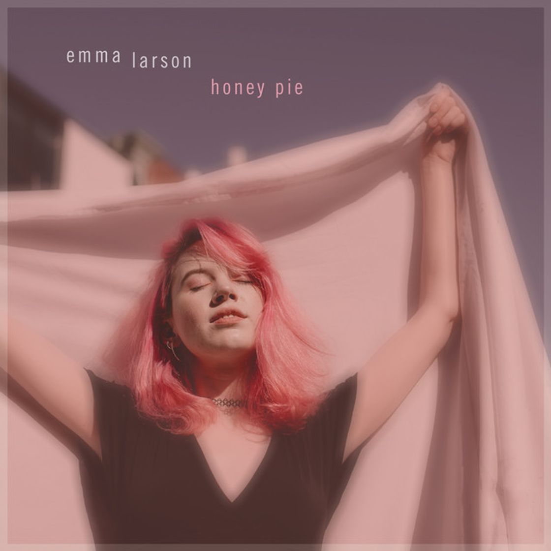 Canción Honey Pie