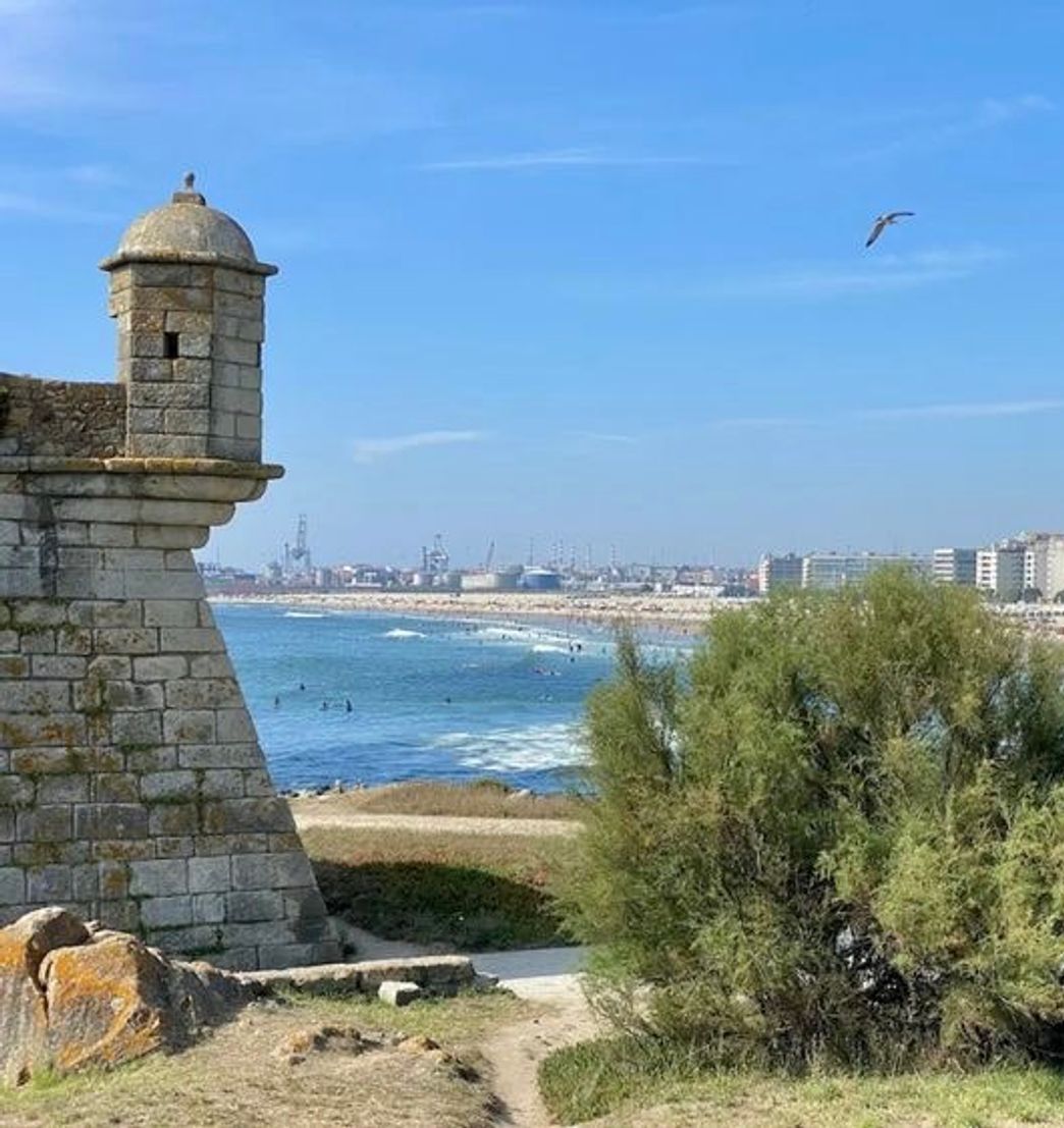 Lugar Forte de São Francisco Xavier