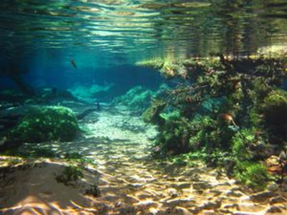 Lugar Mato Grosso do Sul