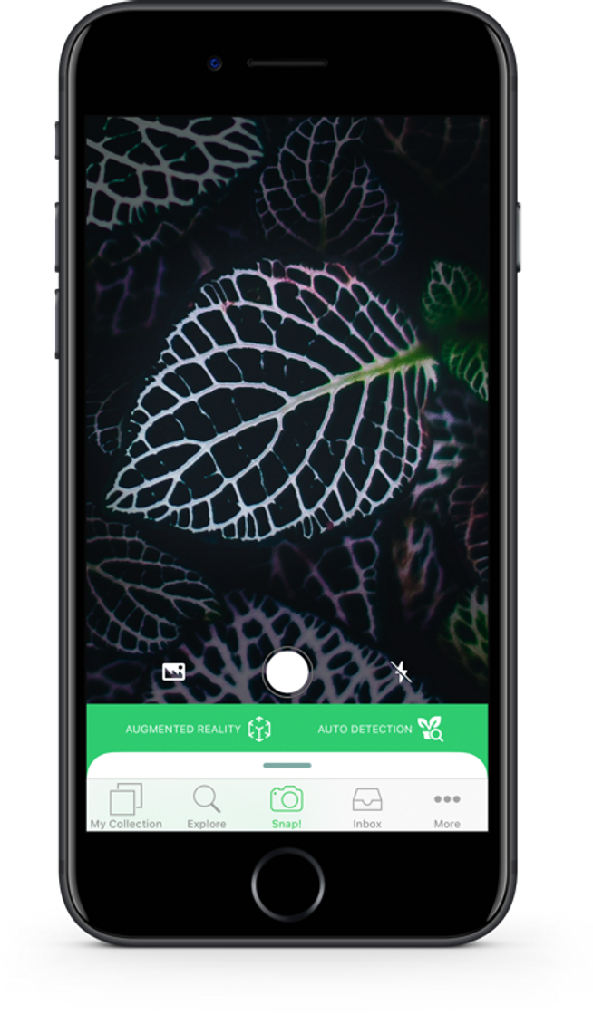 App Plant ID - Identify Plants