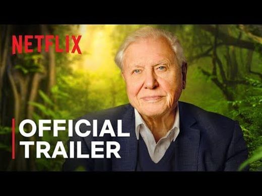 David Attenborough: A Life on Our Planet | Official Trailer - YouTube