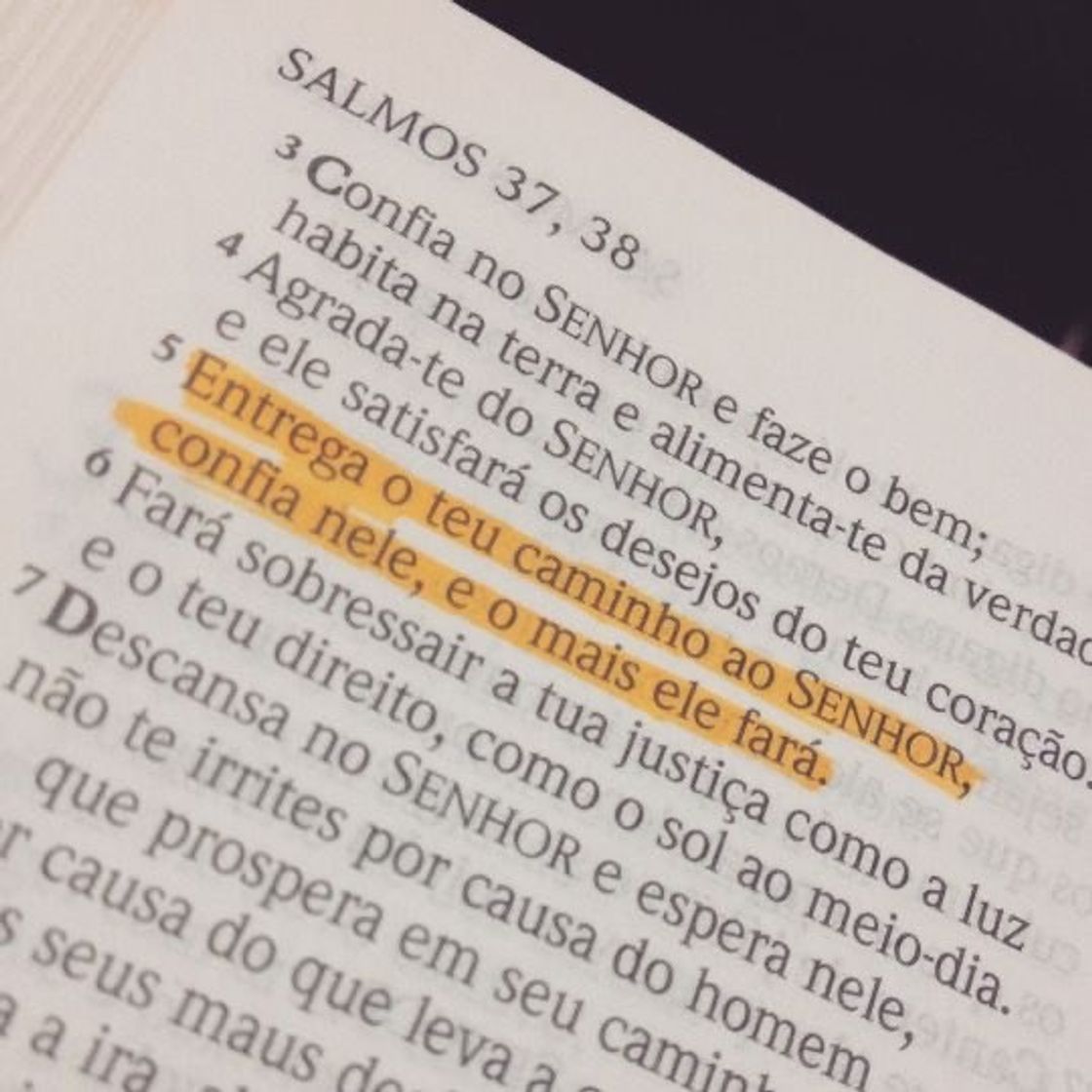 Moda Palavra de Deus📖