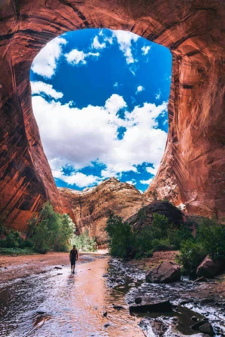 Social natureza - Kanab, Utah