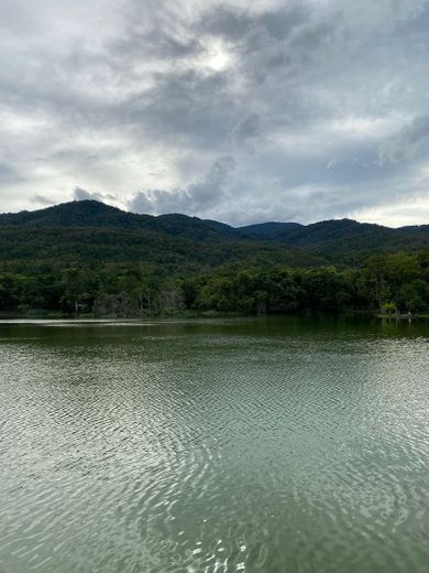 Chiang Mai University