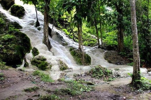 Bua Tong Waterfalls (Sticky Waterfalls)