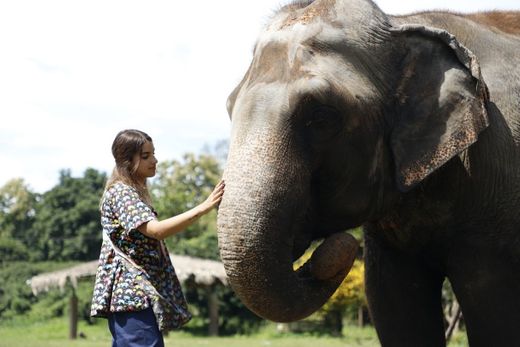 Kanta Elephant Sanctuary