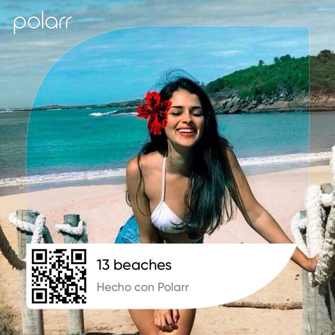 Social presets- POLLAR