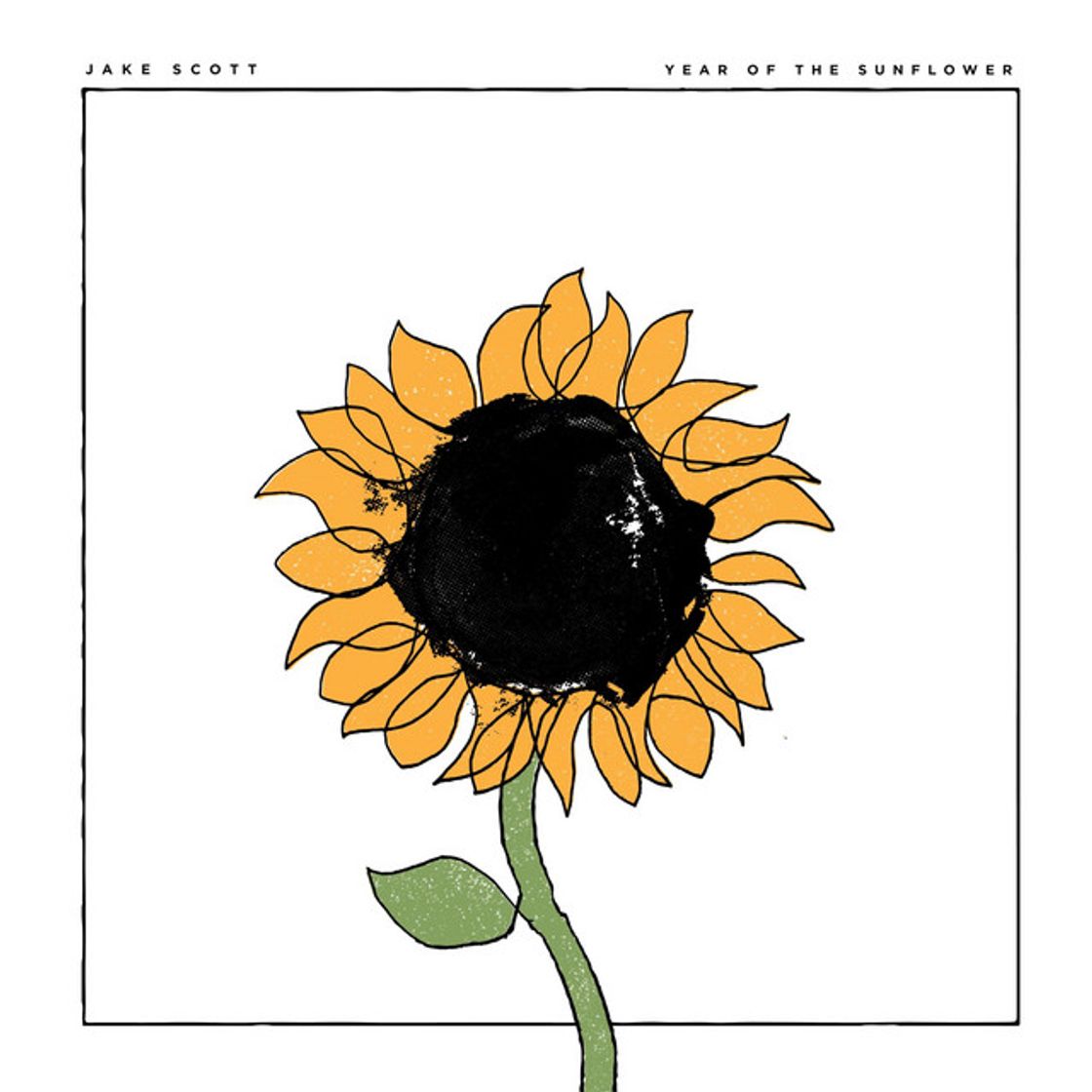 Canción She