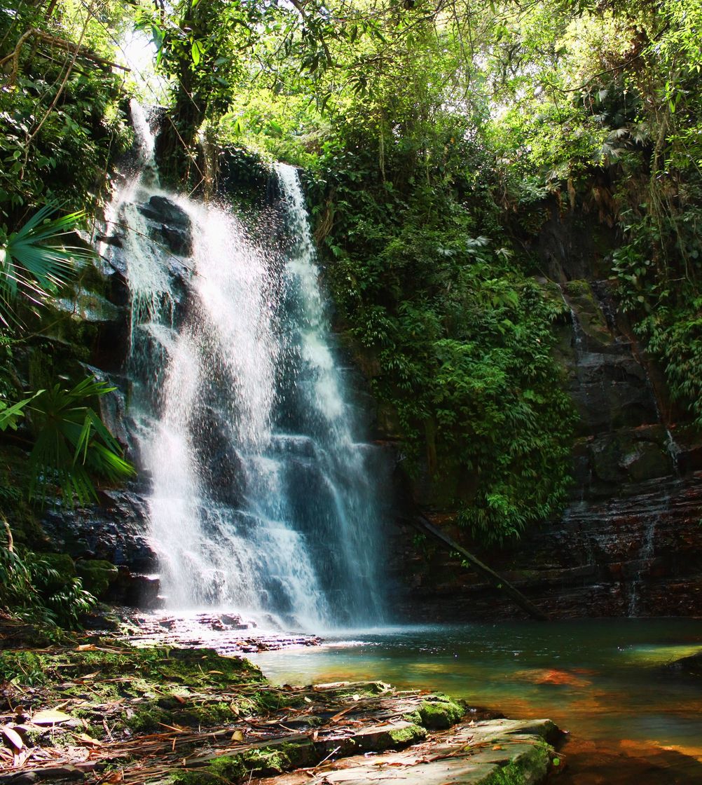 Lugar Cascada De Palermo