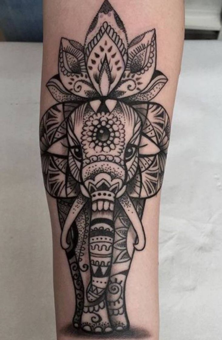 Fashion Tatuagem de elefante