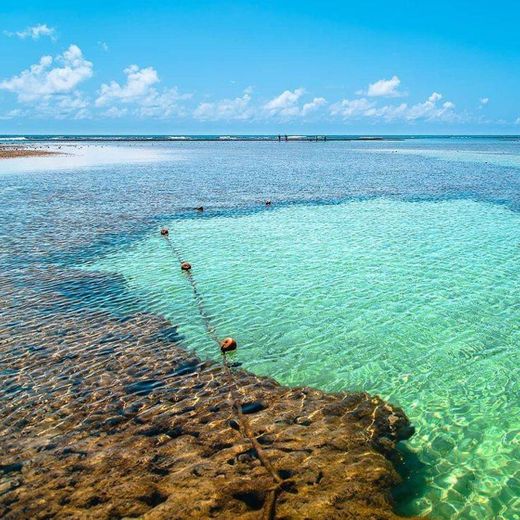 Piscinas Naturais em Porto de Galinhas