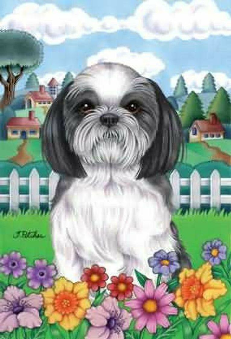 Moda Para quem ama shih tzu 🥰