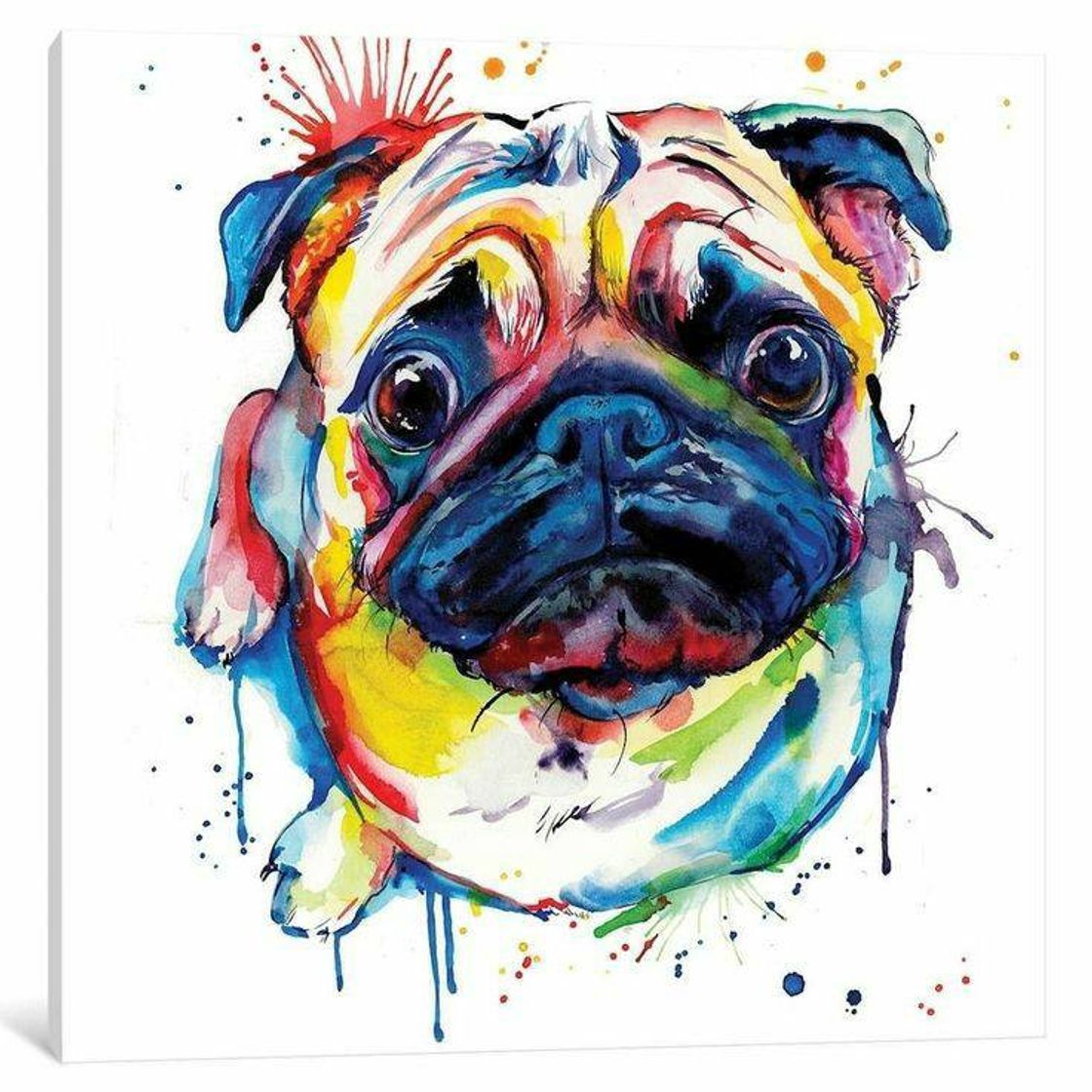 Moda Pug aquarela 🌈🐶