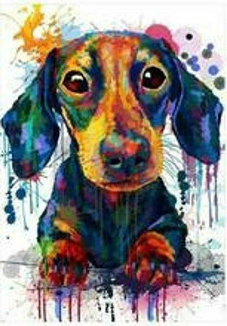 Moda Daschund aquarela 🤎❤💚