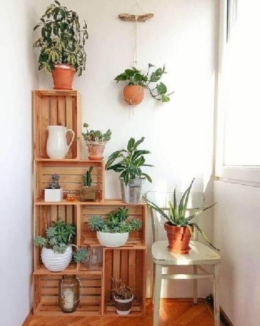 Fashion Plantas em pallet ❤️