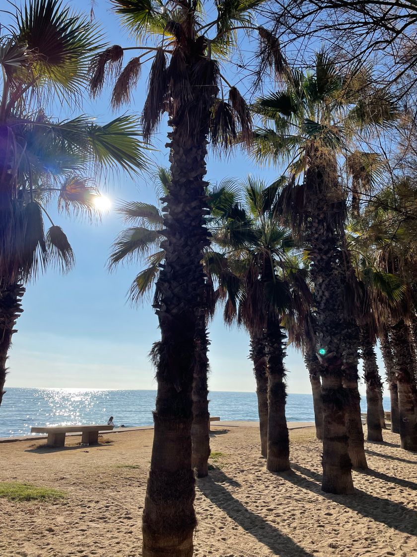 Social Premiá de Mar 