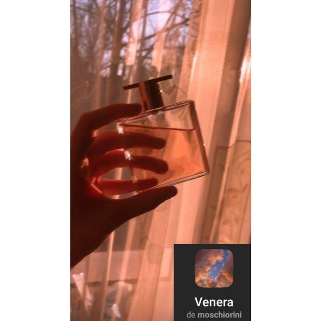 Social Filter 