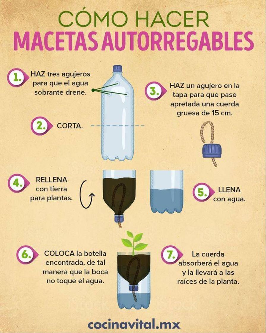 Moda Maceta Autorregable de botella de plástico 