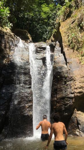 Cachoeiras do Horto - Parque Nacional da Tijuca 