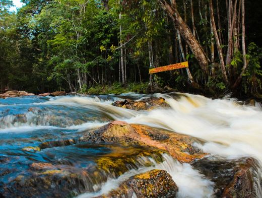 Cachoeira dos Pássaros