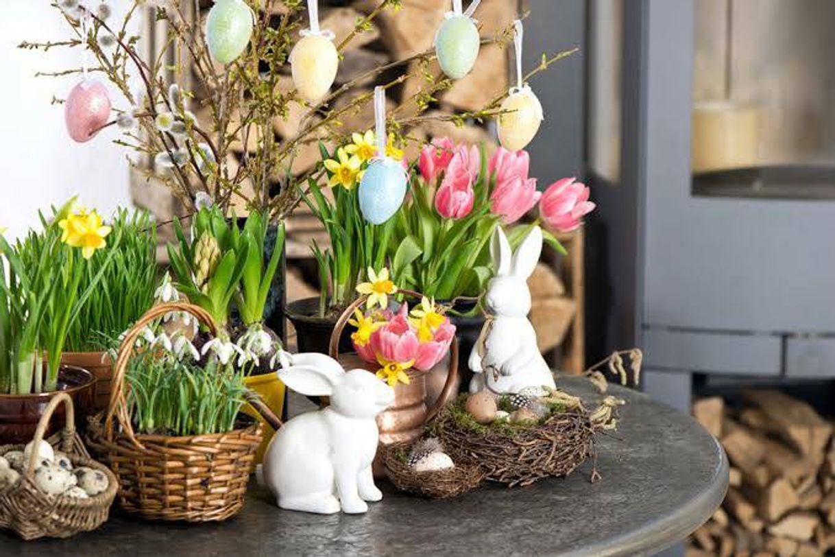 Social Amanda Bastos (mandinhabastos8) no Pinterest