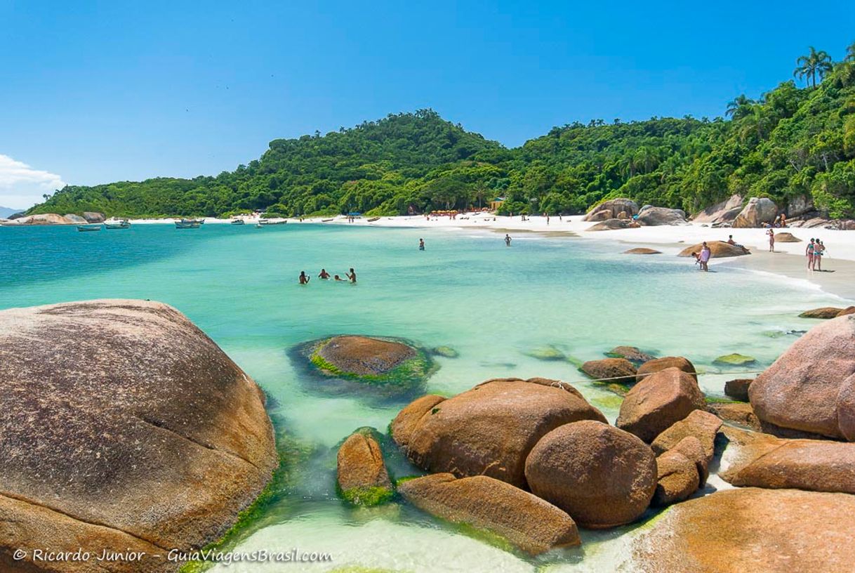 Lugar Ilha do Campeche